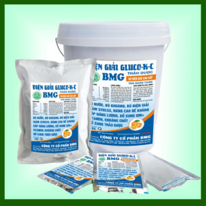 ĐIỆN GIẢI GLUCO-KC THẢO DƯỢC BMG