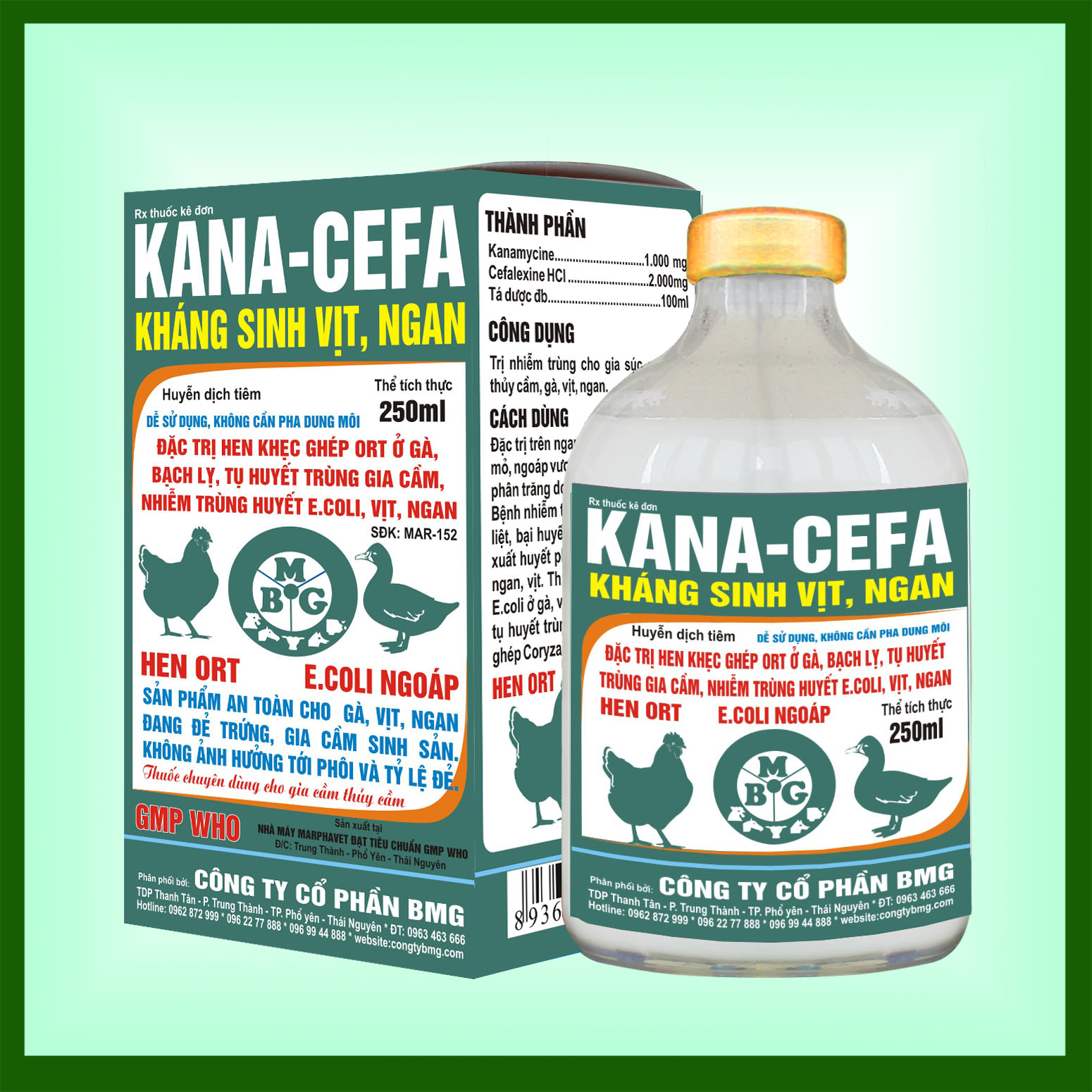 Kana-Cefa KS vit ngan