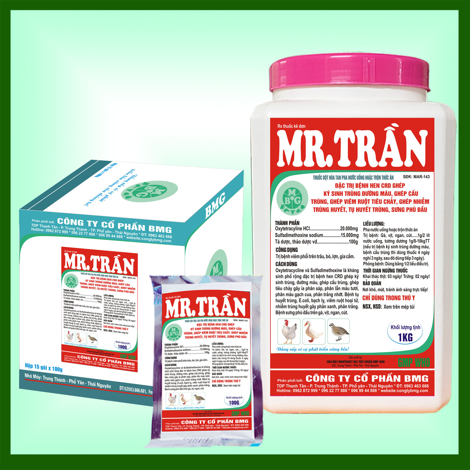 Mr Tran BMG