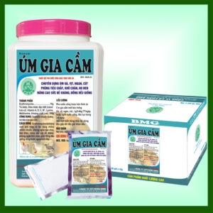 ÚM GÀ VỊT