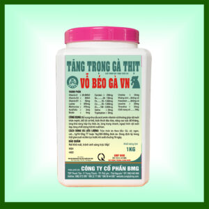 VỖ BÉO GÀ VN - TĂNG TRỌNG GÀ THỊT